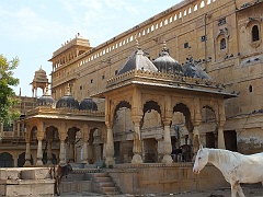 jaisalmer (9)